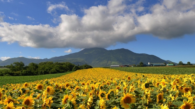 【★連泊割引★】長期滞在も便利な広々としたお部屋でニセコに滞在！リゾートステイ＜朝食付＞